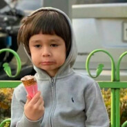 花都开在阳光里