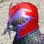 MAGNEPOMBO