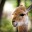 foreverllama