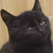 Сергій 🐈 Любогощинський avatar