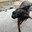 Mark28