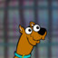 scooby doo