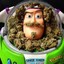 Buzz Weedyear