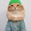 Арабский кот