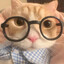 吾乃潮汐猎人