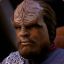 Lt. Worf