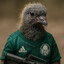Schatz o Pombo