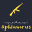 Ophiomorus