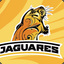 jaguares