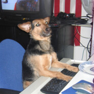 seb - steam id 76561197962123491