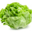 TheRealLettuce