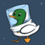 Space Duck