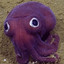 Cephalopod Overlord