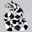 Random Sandworm