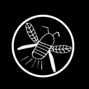 BunnyWarfare avatar