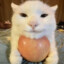 Silver's avatar