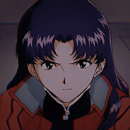 Mis - steam id 76561199752213820