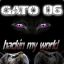 Gato06