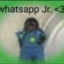 whatsapp jr