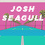 Josh Seagull