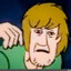 shaggy POD драгс