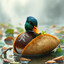 Ducktaco48