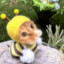 Beeeeeee