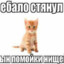 +w za pivom taoopa
