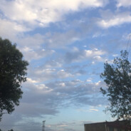 不跟大哥回山里了？