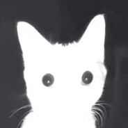 Света Шумовая