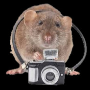 Photography Rat