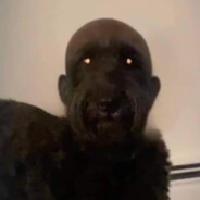 YosoyMarin's Avatar