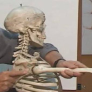 地下室迷茫野兽