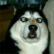 三晋云山皆北向丶