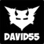 David55