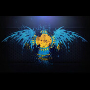 Bot - steam id 76561199699776752