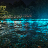 做生活的高手Yaya！