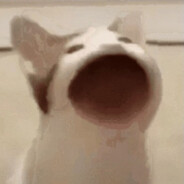 鼬神一打七欧耶