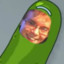 Pickle (Rich Stanton)