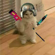 VEIGA