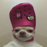 翻斗花园第一男枪