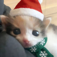 我是apex萌新，你可以叫我派萌