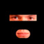 dolgov1ch