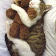 QuickR / T3CkNoPhObIc - steam id 76561197960299255