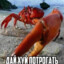 обдуло