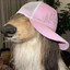 Humus's avatar