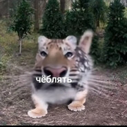 НЕ ЕМ СПЕРМУ (свою