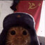 кот коммунист