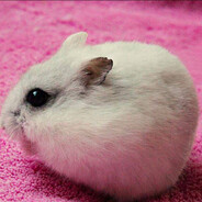 умный_тупой1337