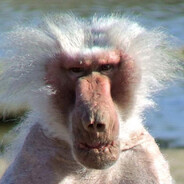 Бабуин из УМ-58